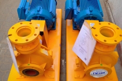 DESMI PUMP SKID