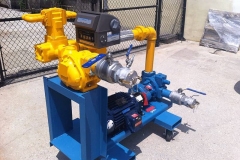 GORMAN RUPP PUMP SKID WITH LC FLOW METER